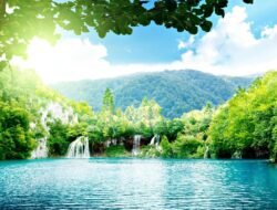 Be That Beautiful Beverly Hills Reviews That Shine