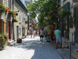 Free Website Gadgets That Elevate Your Online Presence