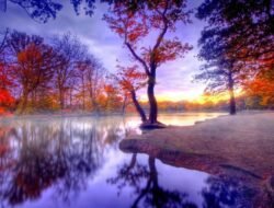 Be That Beautiful Plastic Surgery Enhancing Your Life