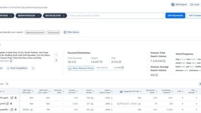 A new tool for studying processes in the cerebellum