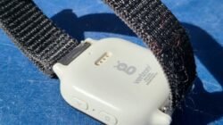 Gizmo Gadget Smart Watch Revolutionizing Your Lifestyle