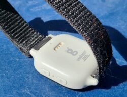 Gizmo Gadget Smart Watch Revolutionizing Your Lifestyle